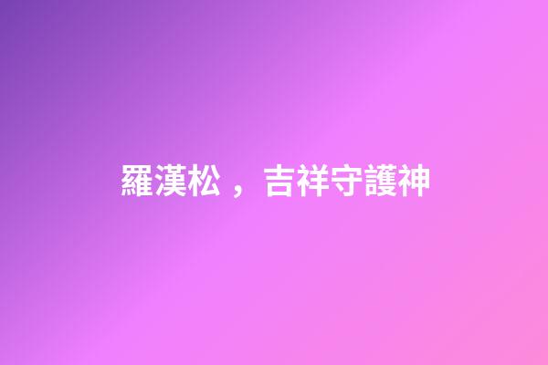 羅漢松，吉祥守護神